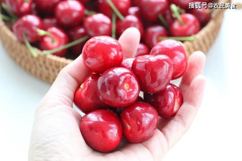 晚餐后小酌一杯果酒