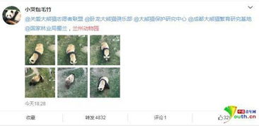 微博网友评论截图关于虐待儿童案件