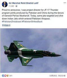 巴基斯坦击落印度战机现场