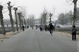 城市街道行人有序行走场景