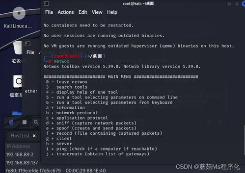网络攻击模拟图示意图