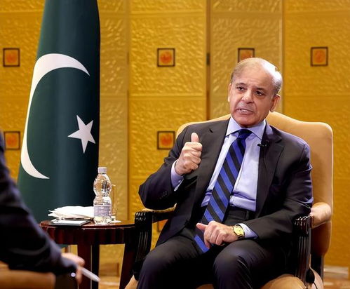 巴基斯坦总理夏巴兹发表讲话