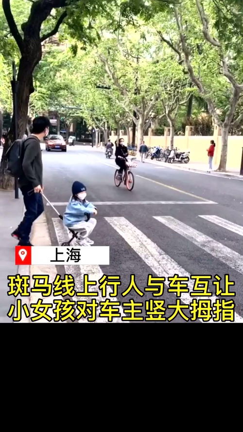 行人安全距离谁来定？法律不能让司机和行人都为难