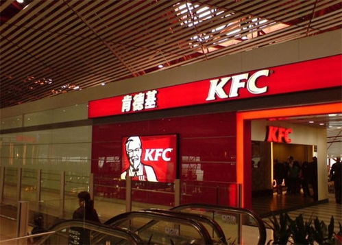 浦东机场T1安检24小时开放？我亲测后发现真相竟出乎意料！