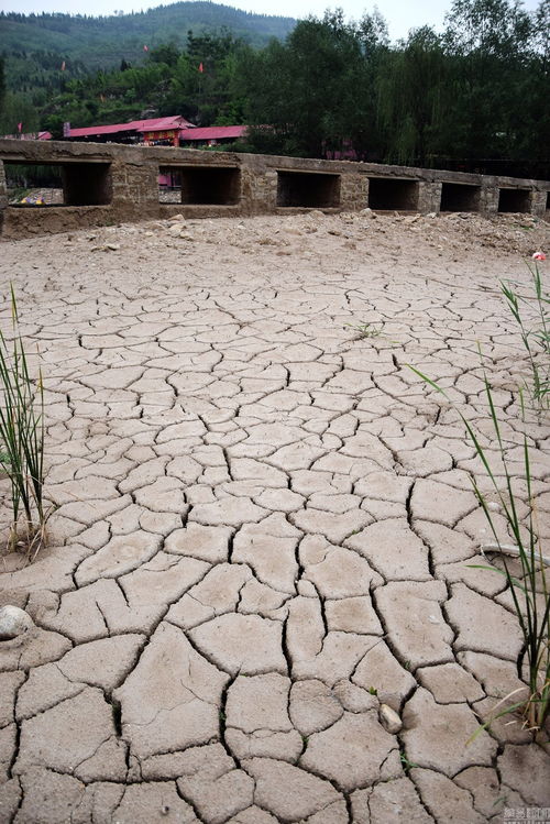 多人在干涸河道中翻找可疑物品场景