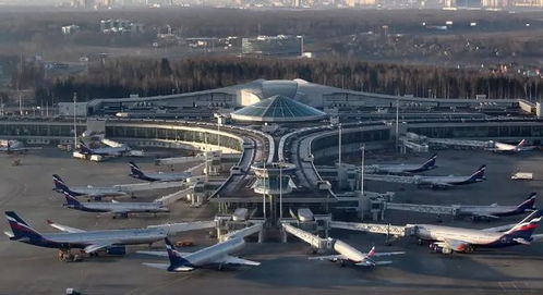 莫斯科机场迎接场面