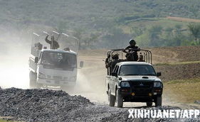 巴基斯坦最新战果曝光！2024年反恐行动全面回顾