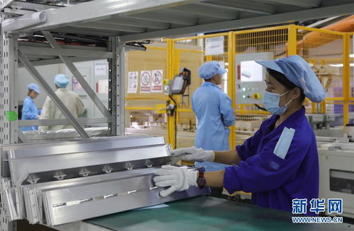 比亚迪工厂内锂电池生产线忙碌运作中