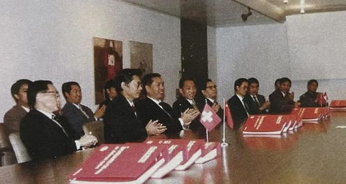 中方代表团在瑞士