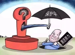 科技网络工作室非法获取老年人信息现场