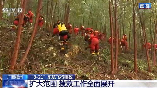 搜救队员夜间使用热成像仪搜寻