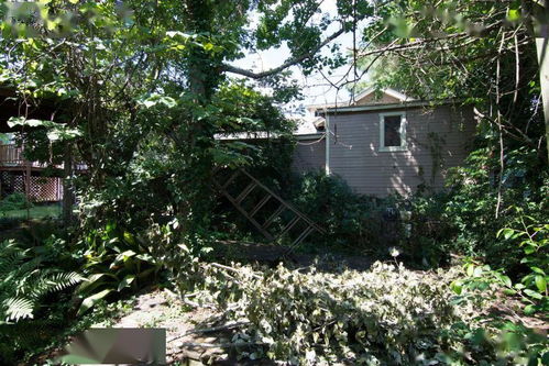 空房间里的秘密：我与那扇未开启的门