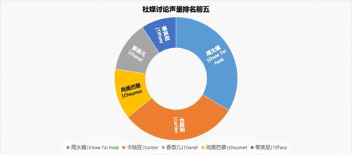 高负债与奢侈消费对比图示例