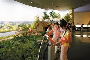 四川博物院展览现场观众众多