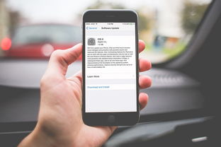 花10万找网红带货，只卖了两千块！冉大姐的血泪教训，你还在迷信流量神话？