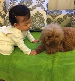 小玥儿开心玩耍