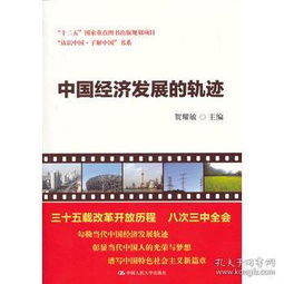 大国经济学封面