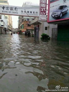 别让谣言干扰莆田救援｜抖音热搜背后的真实与反思