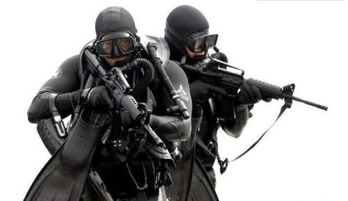 巴基斯坦特种部队在山区执行突袭任务