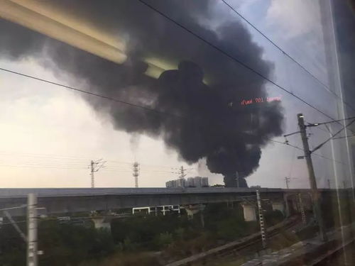 酒店婚宴突发火灾！浓烟滚滚中宾客惊险逃生，背后原因令人警醒