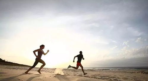 两个年轻人在公园跑步锻炼