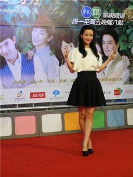 李晟与粉丝互动的直播画面