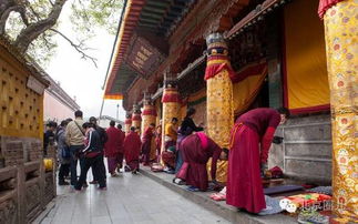 一位男子在道观内虔诚跪拜祈祷