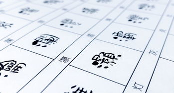 该选什么字体入坑（写字趣旅）｜从零开始的书法之路