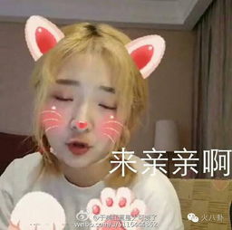 谢娜综艺表情包