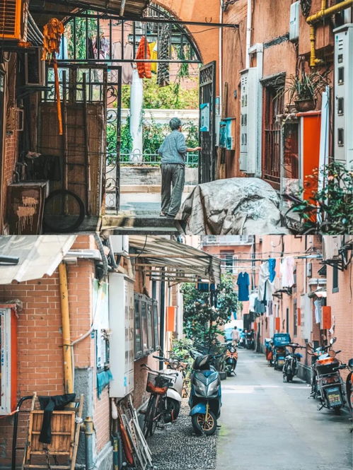 瑞康里老弄堂改造前后对比图