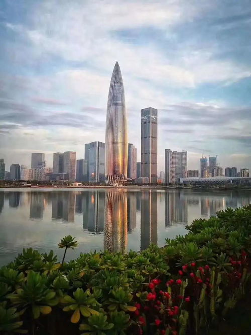 深圳湾一号豪宅外观