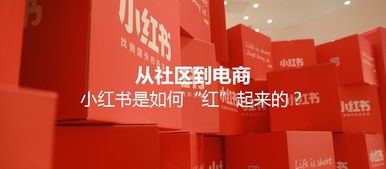 小红书与淘宝合作发布会现场