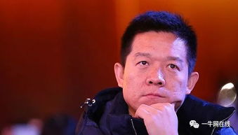 贾跃亭在采访中发言