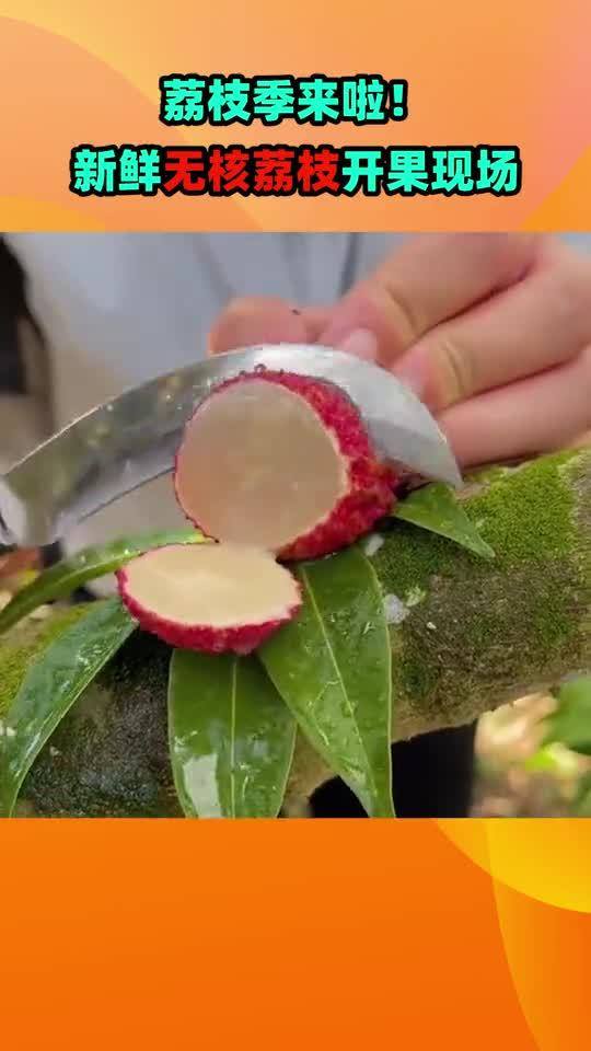 新鲜荔枝果实特写