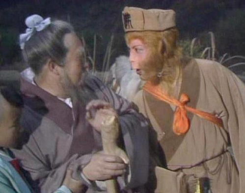 赵朔在路边抱着小猫悟空的照片