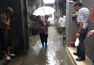 广州暴雨街道积水严重