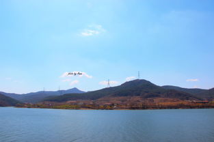 网友拍摄大连西山水库怪鱼视频画面