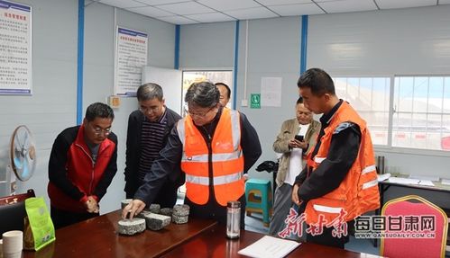 杨林德教授在工地现场检查工程数据