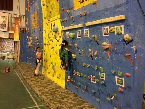 团队成员在室内攀岩