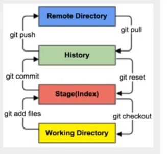 使用WordToCard制作的知识卡片示例图