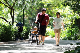 一家三口在公园散步