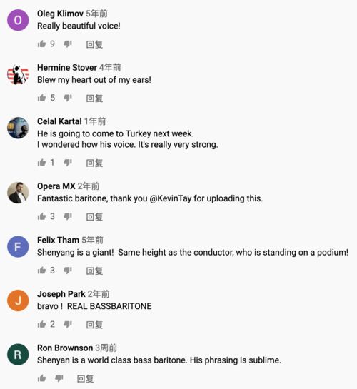 听众在评论区留言感谢凤洋的声音陪伴