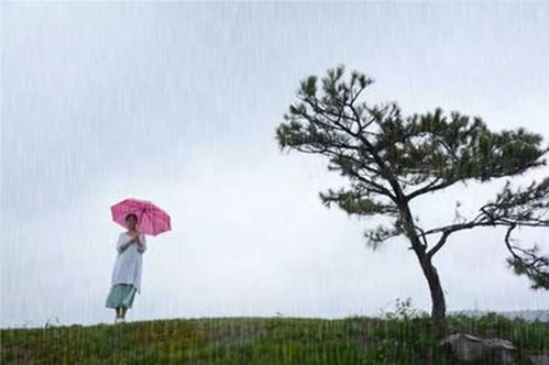 时间的过往，离别的重逢（下）