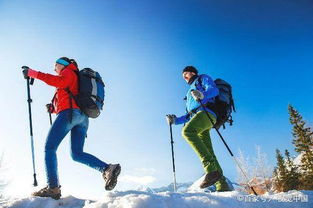 登山者使用登山杖穿越高山草甸