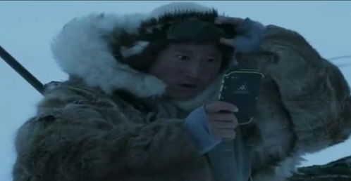 赵朔埋葬小猫悟空的现场照片