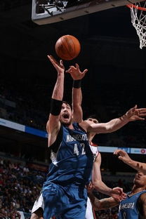 森林狼团队庆祝胜利