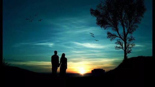 我们都曾疯狂地追逐过爱情4：那些年，我们为爱等待的时光