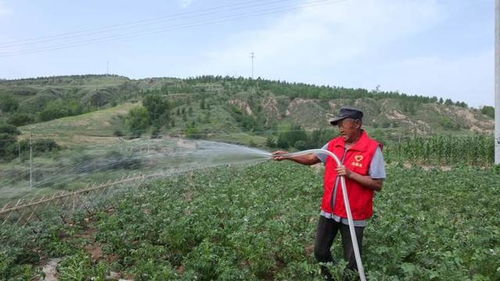 农民正在田间抗旱浇水