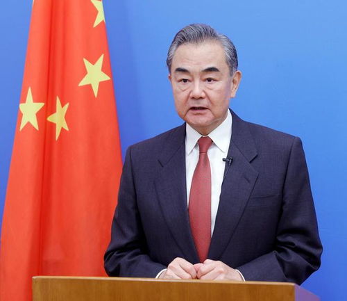 王毅参加国际会议发言场景