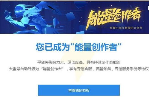 自媒体创作者面对电脑认真写作场景